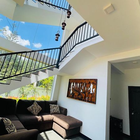 Black Mustang Hotel Dambulla Exterior photo